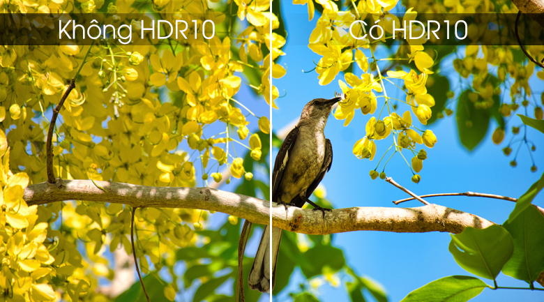 HDR 10 trên 85X9500G